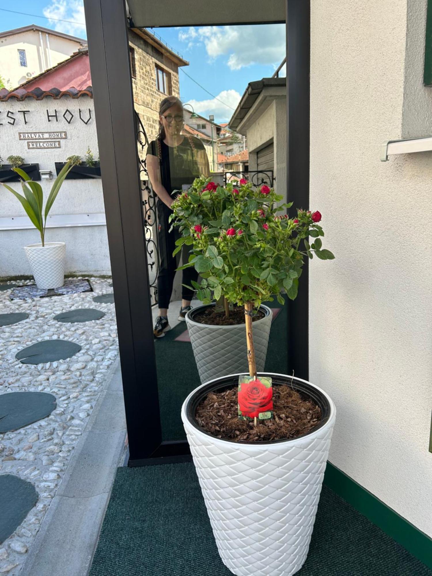 Halvat Guesthouse Σαράγεβο Εξωτερικό φωτογραφία
