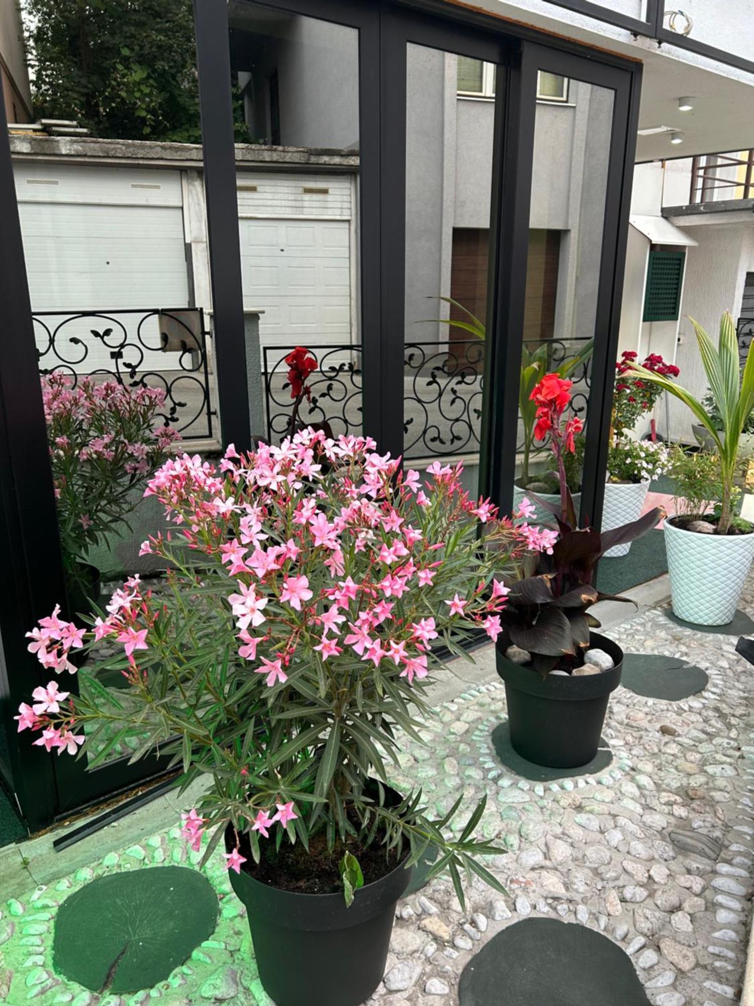 Halvat Guesthouse Σαράγεβο Εξωτερικό φωτογραφία
